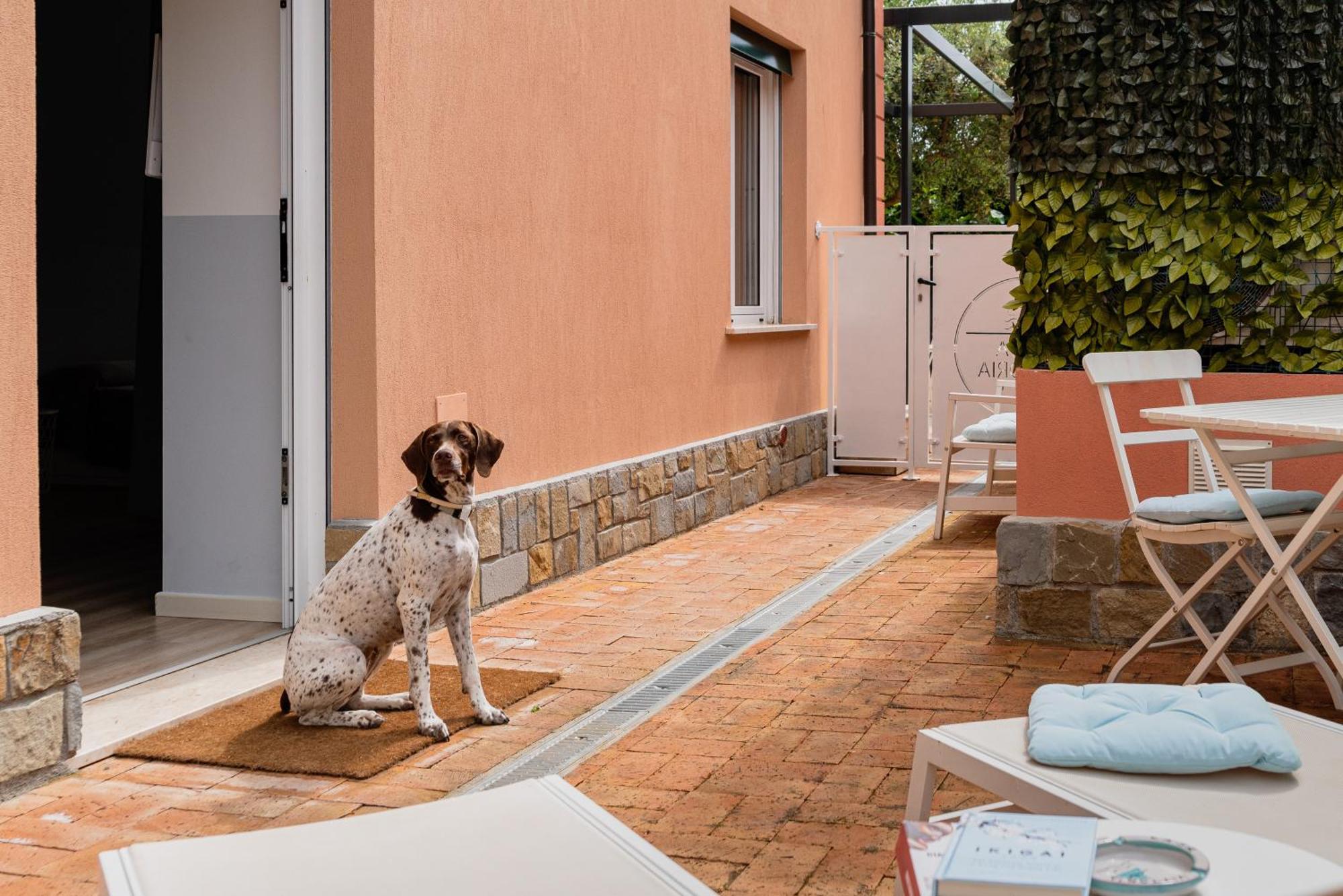 Villa Casa Vittoria à Agropoli Extérieur photo